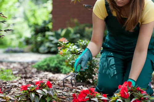 Supervisor reviewing safety procedures with gardening staff