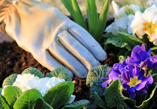 Sustainable gardening practices in Herne Hill